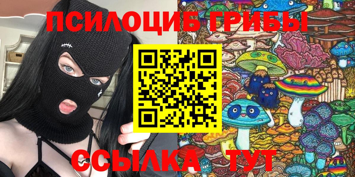 Псилоцибиновые грибы GOLDEN TEACHER  Вход с VPN  Орск  Псилоцибиновые грибы Cubensis 