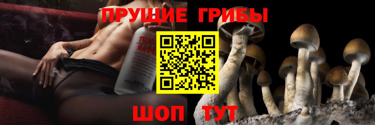 Галлюциногенные грибы Magic Shrooms Орск